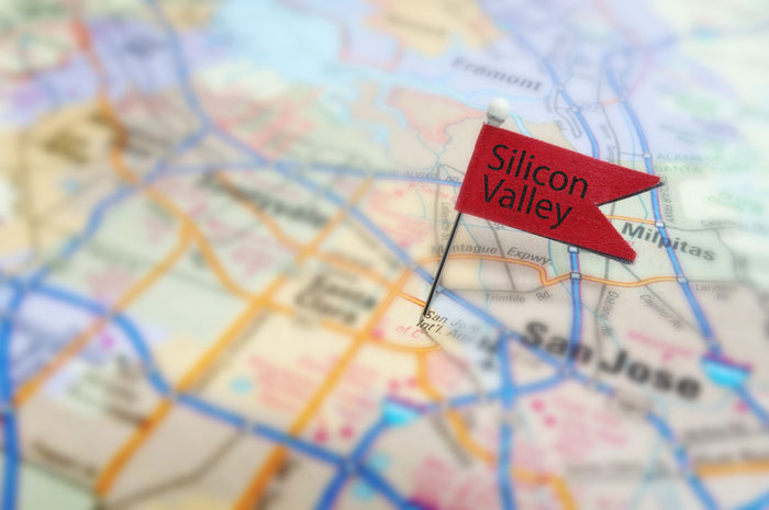 What is the Silicon Valley Diet?