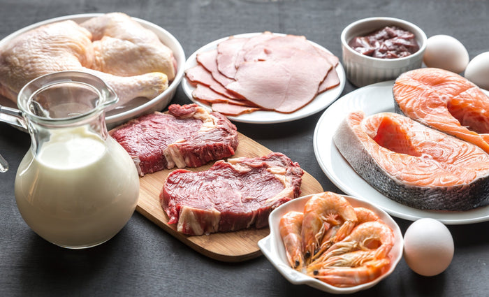 Should I Follow a Protein Diet Plan for Weight Loss?