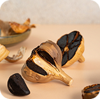 Konscious All Brands